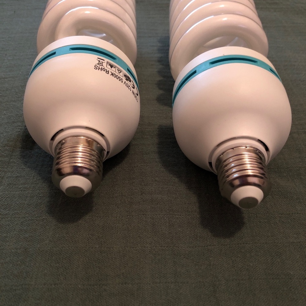 Two Used Studio Light Bulbs - Picture 4 of 4